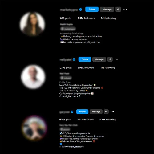 professional bio for instagram​