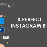 instagram bio